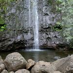 Na Ala Hele: Manoa Falls Trail