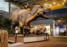 Saint Louis Science Center