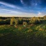 Warwick Valley Winery & Distillery