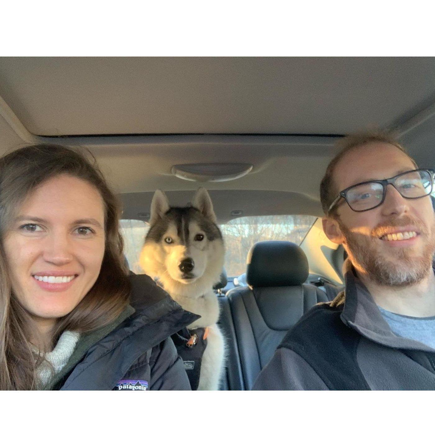 Hanging with our favorite husky