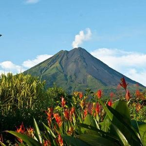 Arenal's Volcanic Revelation: Delving Into Earth's Secrets Hike