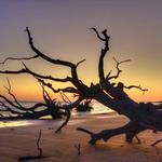Big Talbot Island State Park