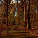 Pilcher Park Nature Center
