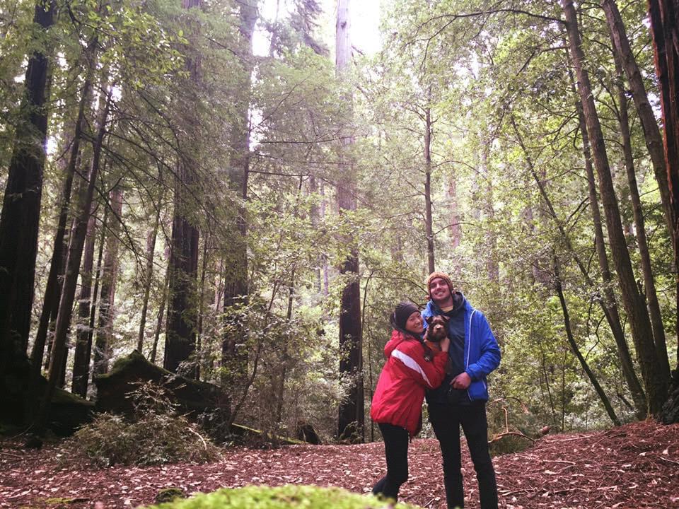 Big Basin (2016)