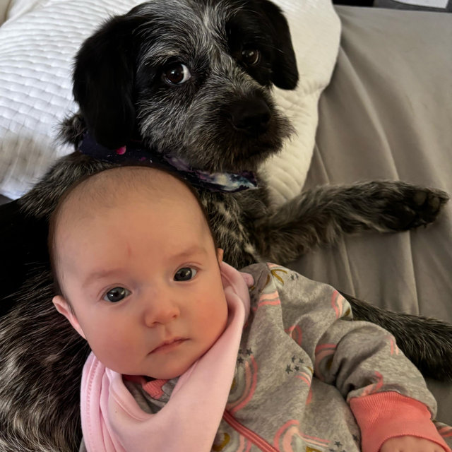 Isabella’s College Fund