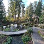 Crystal Springs Rhododendron Garden