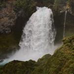 Koosah and Sahalie Falls Trail