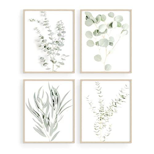 HAUS AND HUES Botanical Plant Wall Art Prints - Set of 4 Plant Wall Decor Prints Floral Kitchen Flower Leaves Wall Art Boho Leaf Eucalyptus (11"x14", UNFRAMED)