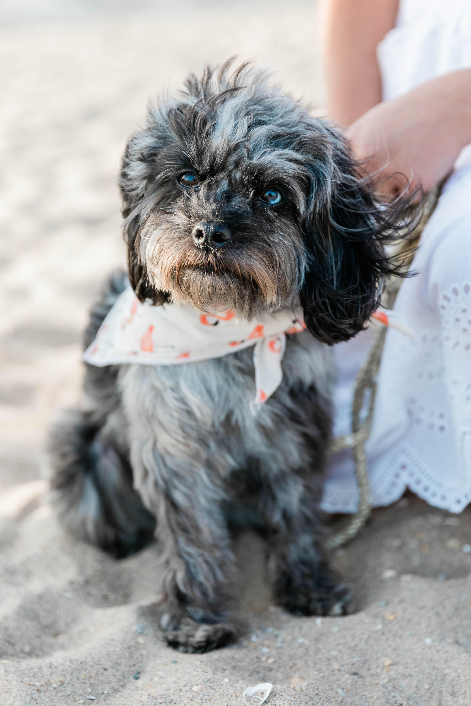 The Wedding Website of Lindsey Gagliardi and Brent Lincoln