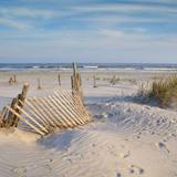 Folly Beach