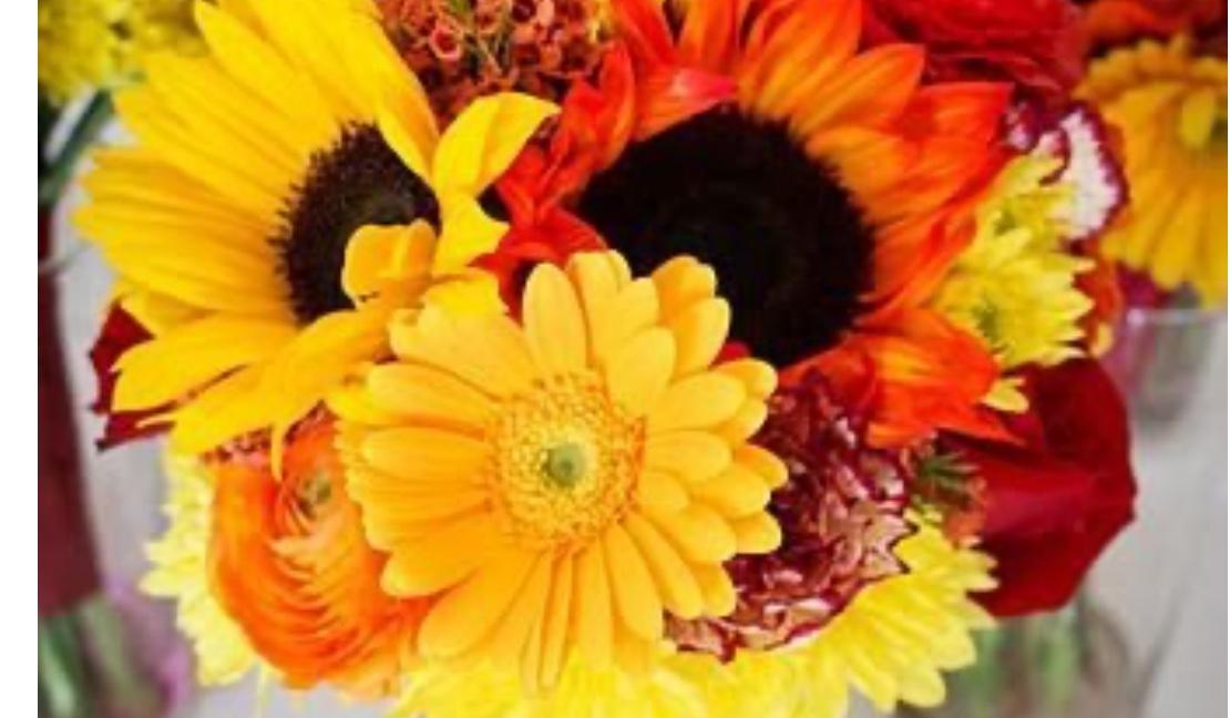 The Wedding Website of Bobbi Griffin and John Martinez