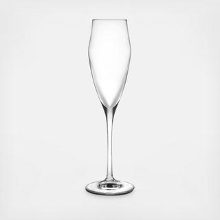 Ego Champagne Flute, Set of 6