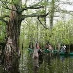 Cache Bayou Outfitters