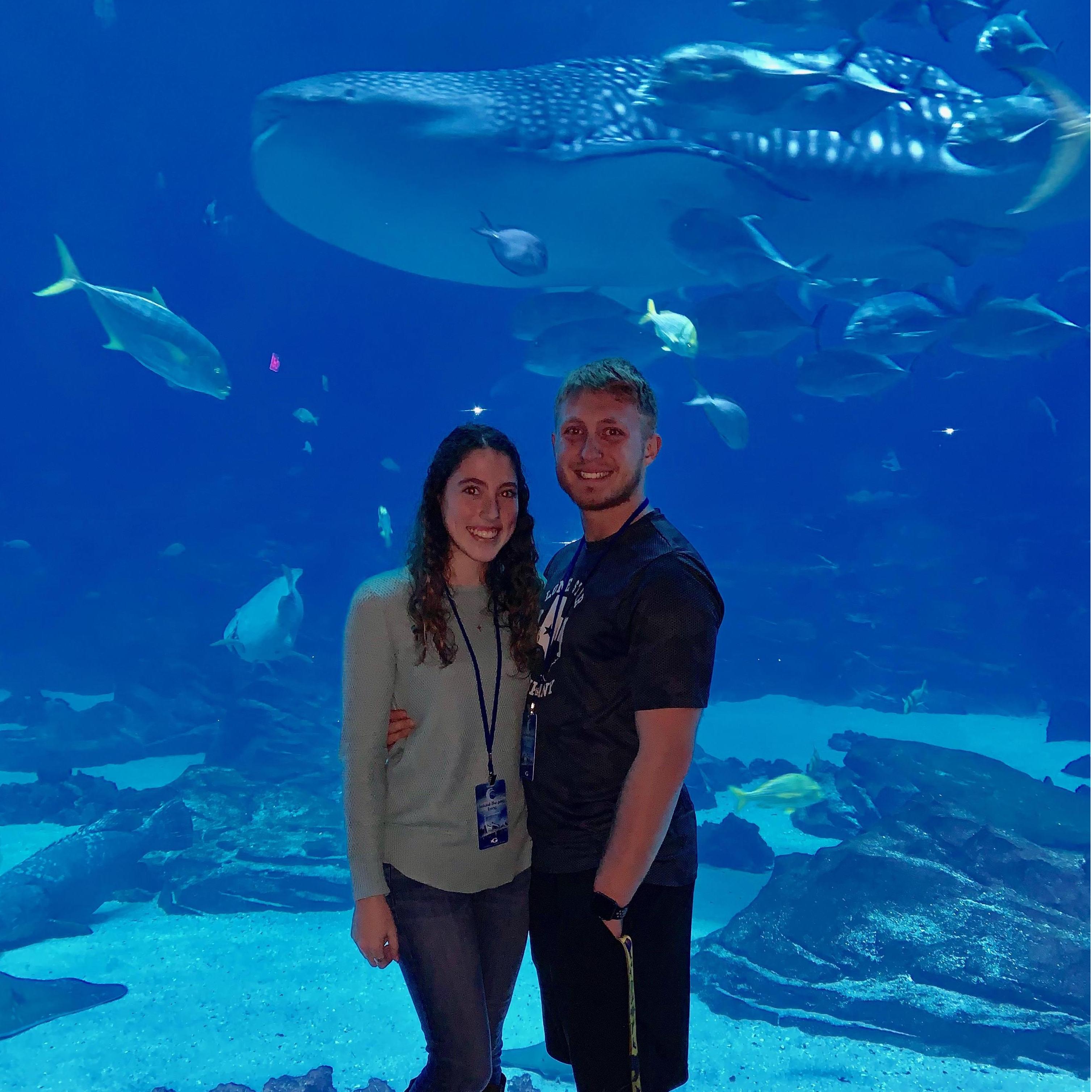 Georgia Aquarium, Jan. 2019
