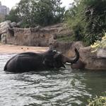 Denver Zoo