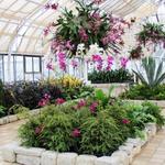 Franklin Park Conservatory and Botanical Gardens