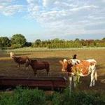 Goodale Farms