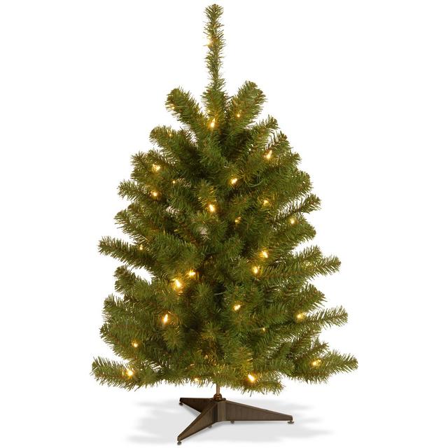 National Tree Company 3' Eastern Spruce Tree With 50 Clear Lights