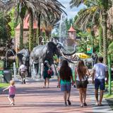 Audubon Zoo