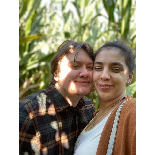 Corn maze