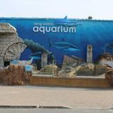 Long Island Aquarium
