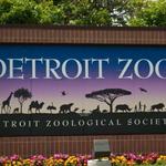 Detroit Zoo