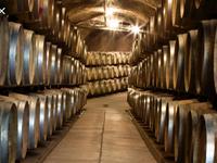 Rombauer Vineyards