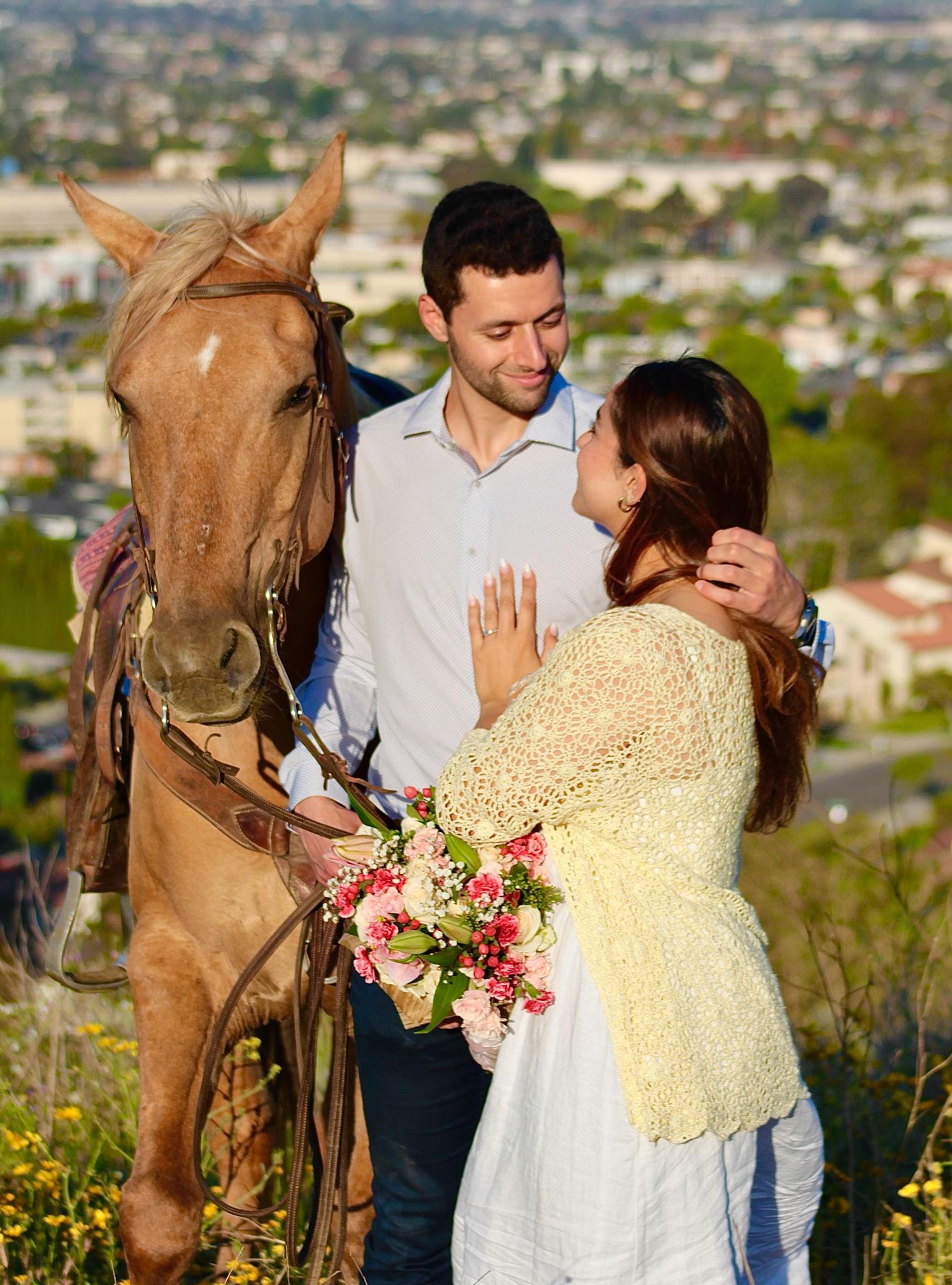 The Wedding Website of Lana Mamoun and Darwich Joudi