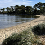 Terrapin Nature Park