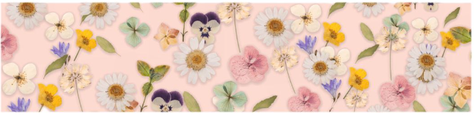 The Wedding Website of Beatrice Alvidrez and Hudson Jones