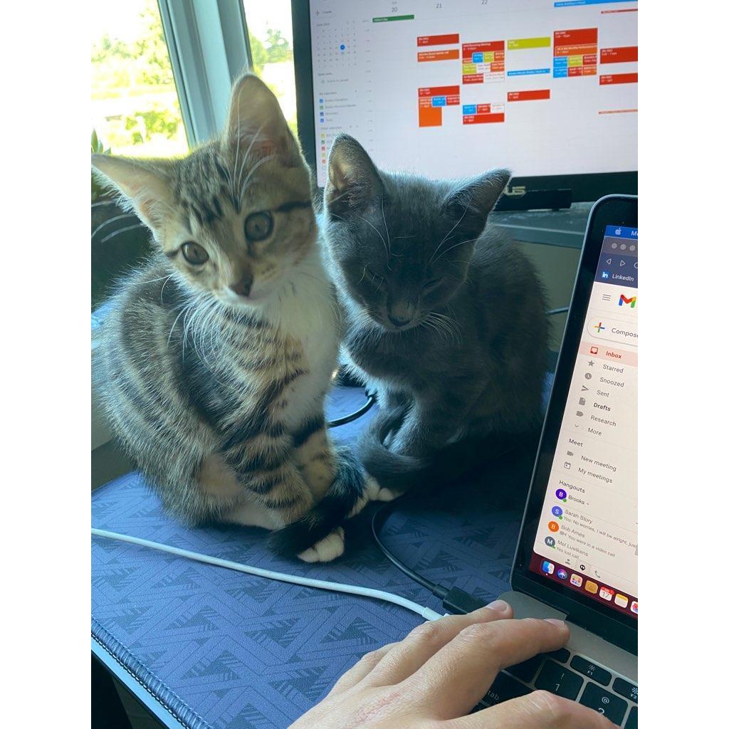 Our tiny children