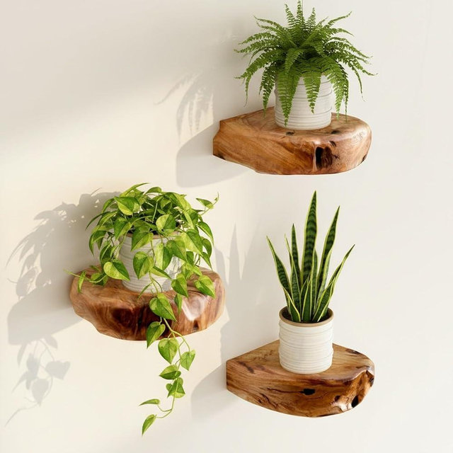 WELLAND Natural Edge Cedar Wood Show Case Display Shelves, Wood Floating Shelf, Set of 3, 6 x 6 x 1.6 inches - Rustic Wooden Floating Wall Shelves for Home Decor, Plants, Photos, and Collectibles