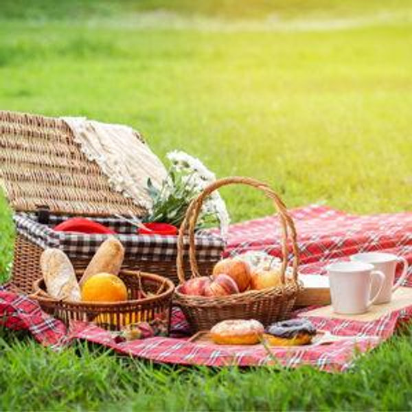 Picnic for two in France
