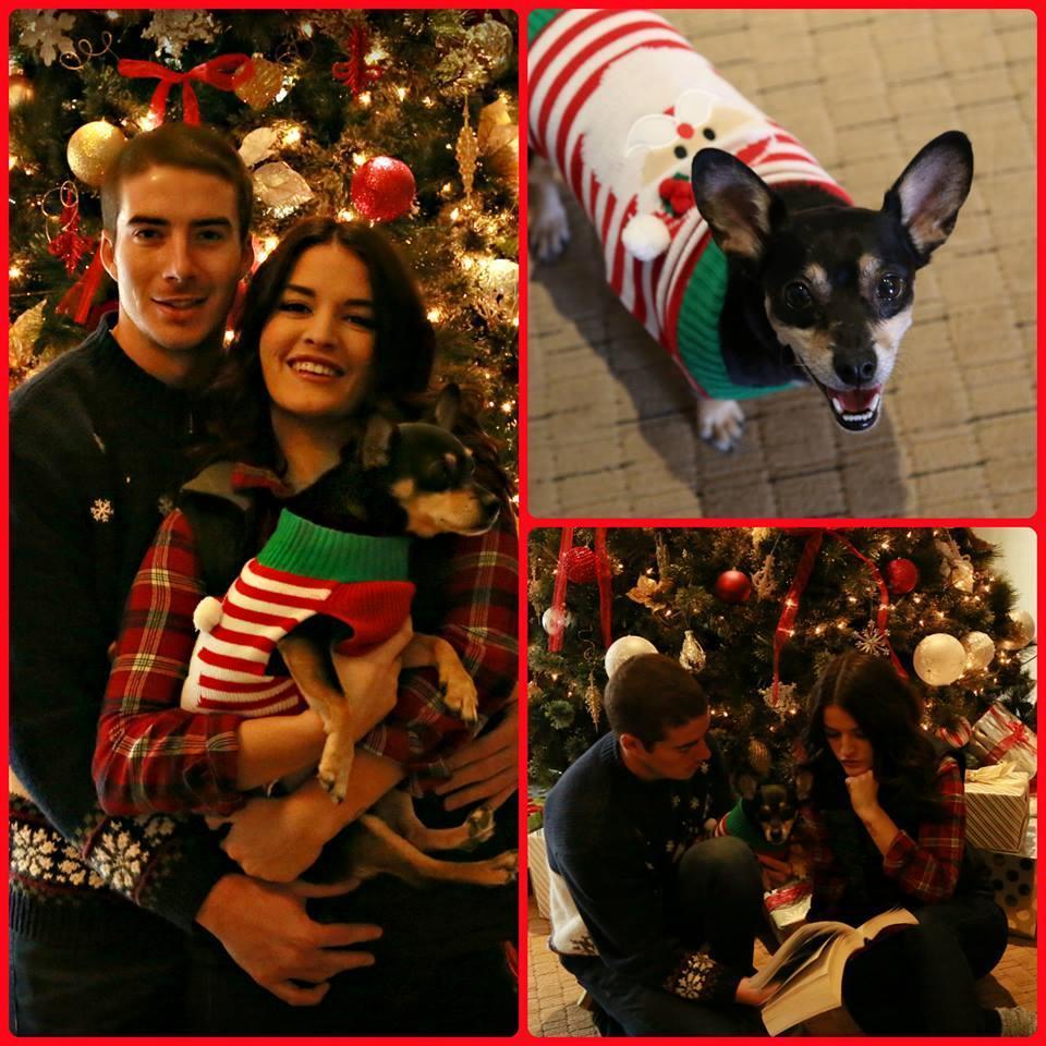 Christmas Card 2016