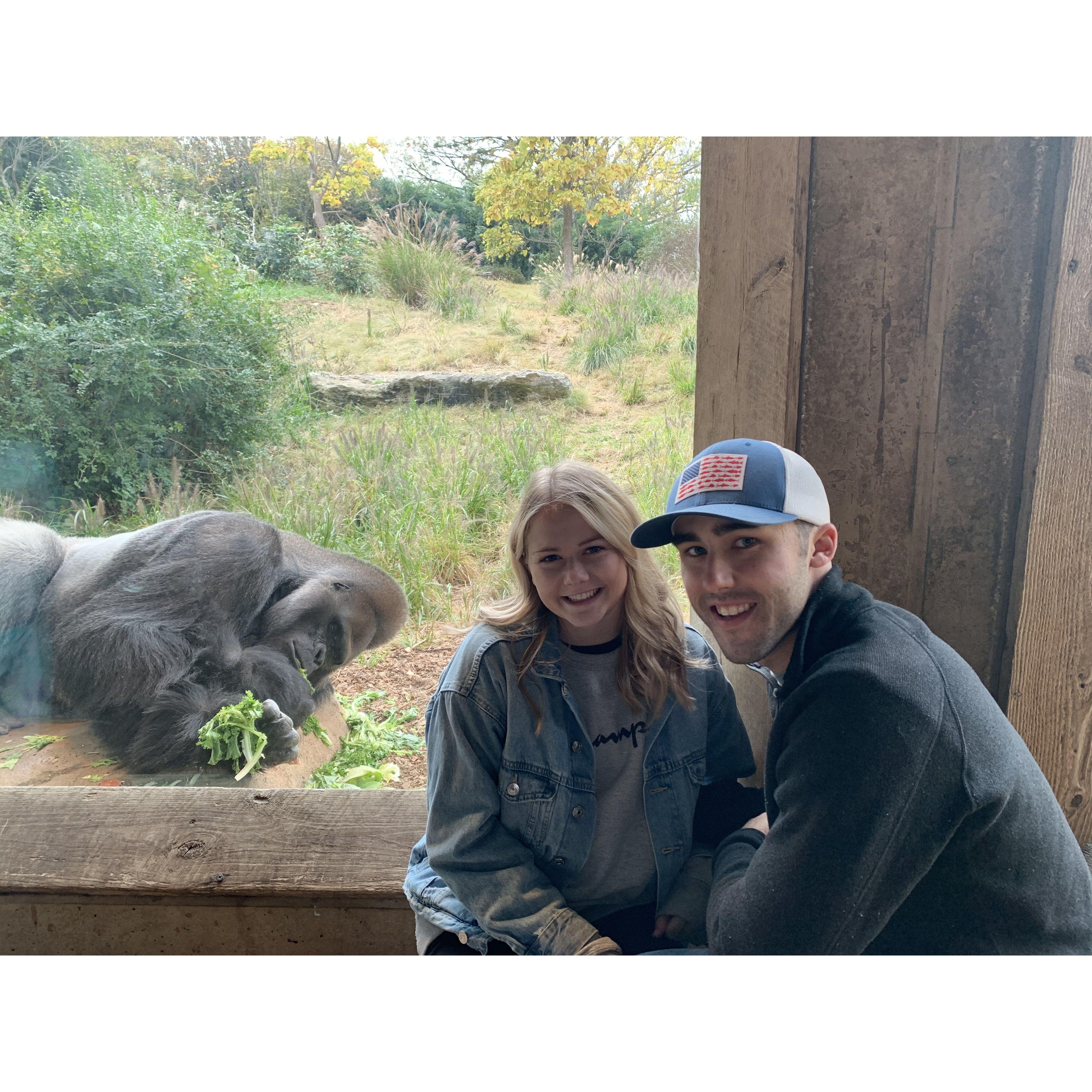 Louisville KY Zoo October 2020