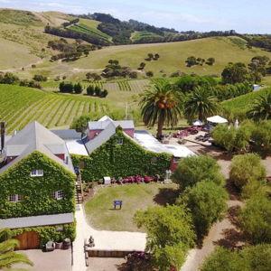 Honeymoon Fund: Waiheke Island Ferry & Wine Tour