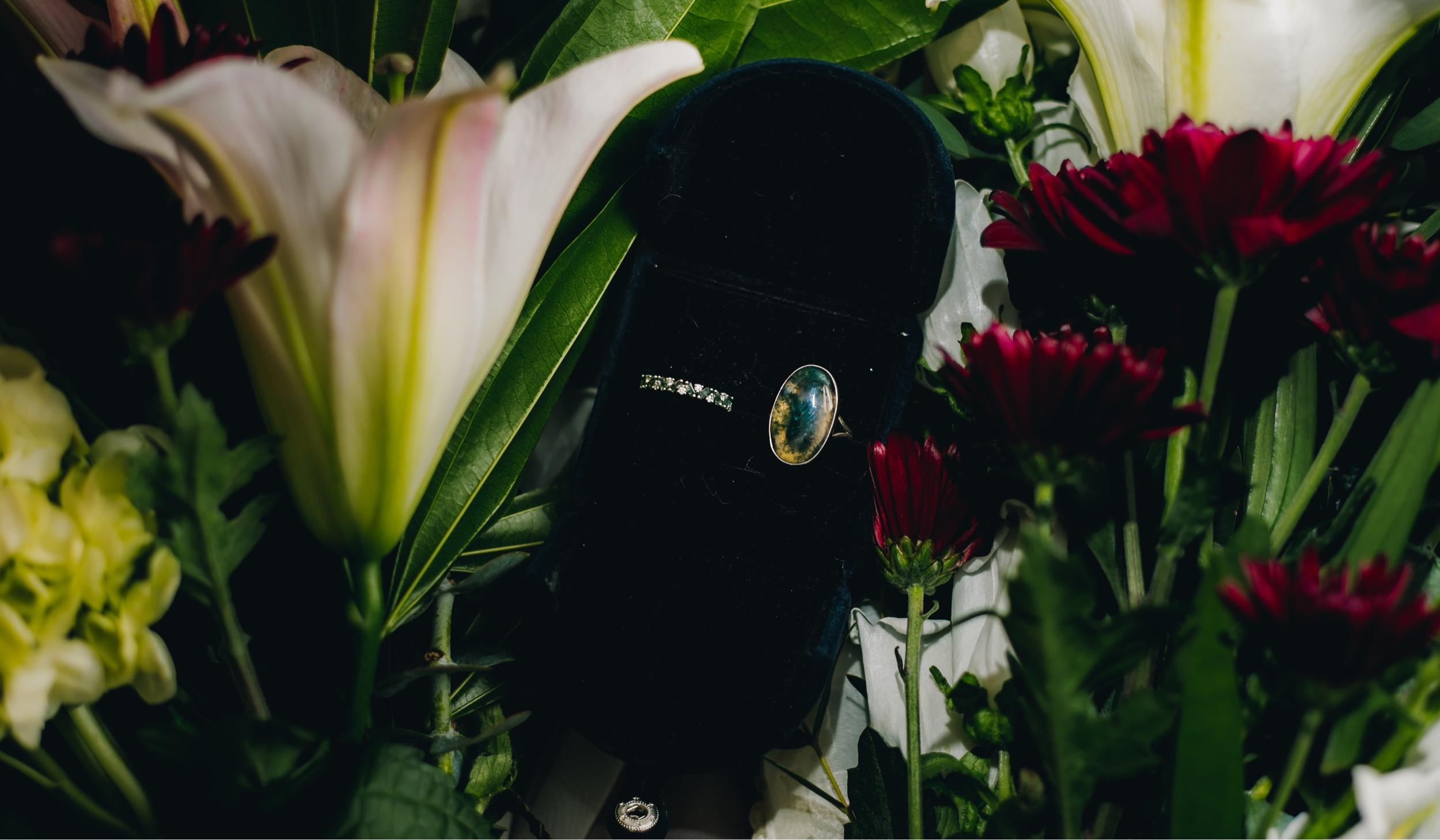 Hero Slideshow Image 5