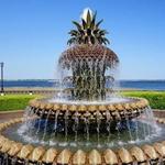 Pineapple Fountain