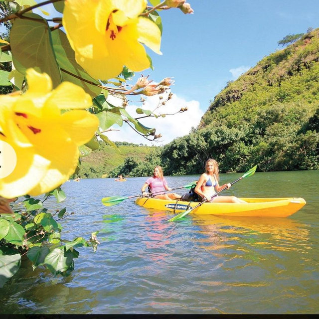 Excursions in Kauai! 🌺