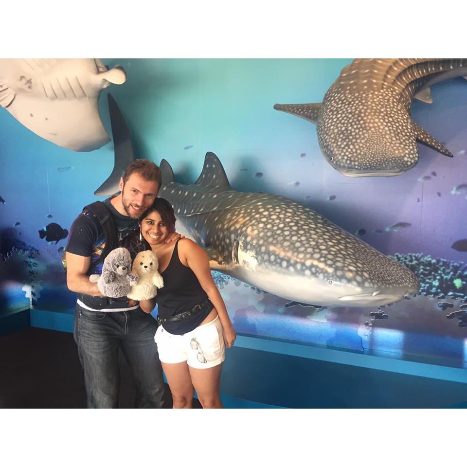 At the Osaka Aquarium