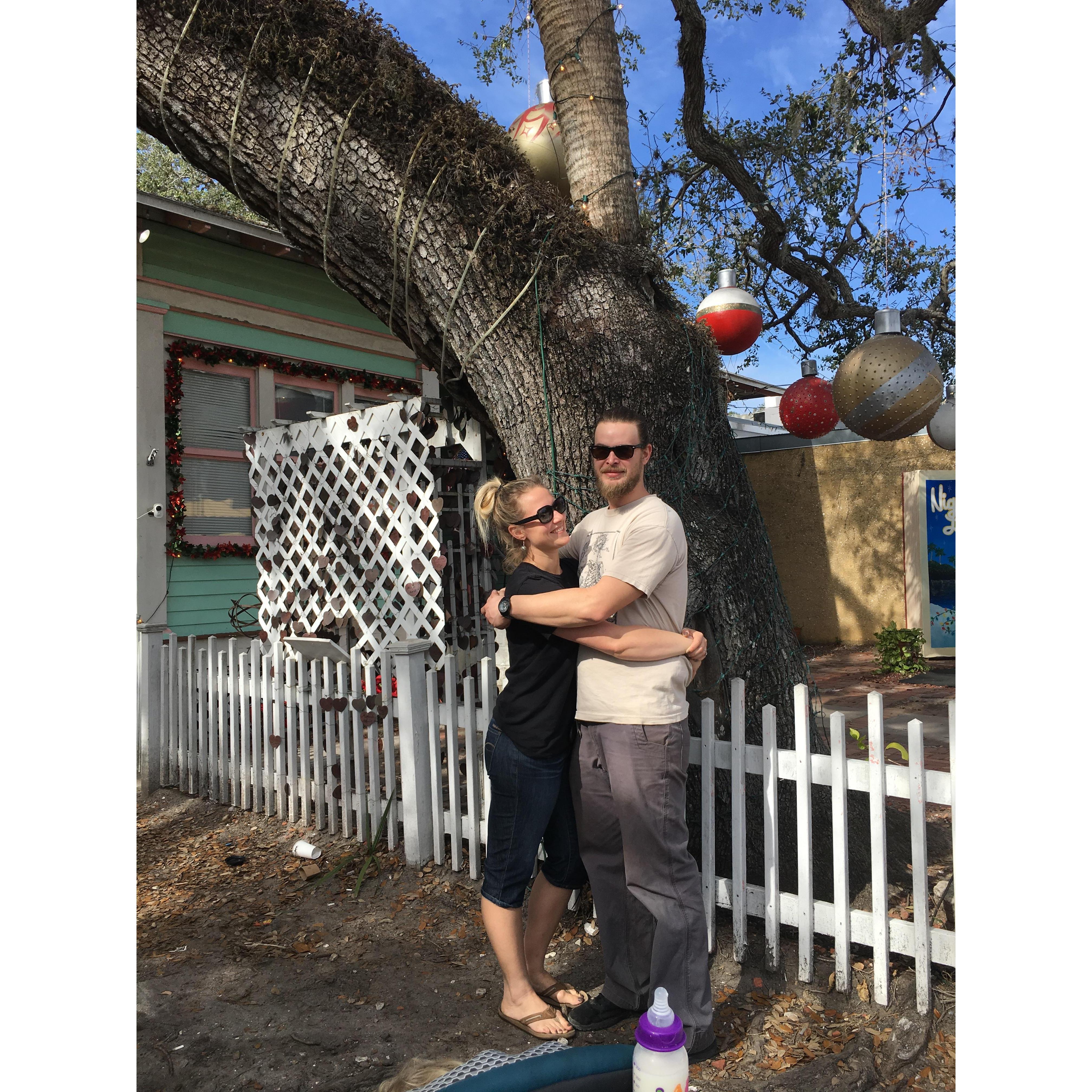 Picture stand by the "hugging tree"