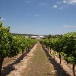 Wineries