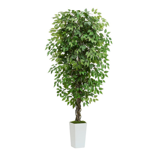 FSOHOI Artificial Ficus Tree 6FT Faux Plants Indoor Tall Fake Plants with White Planter, Green Lifelike Lush Fake Ficus Tree for Home Living Room Bedroom Outdoor Balcony House Office Decor