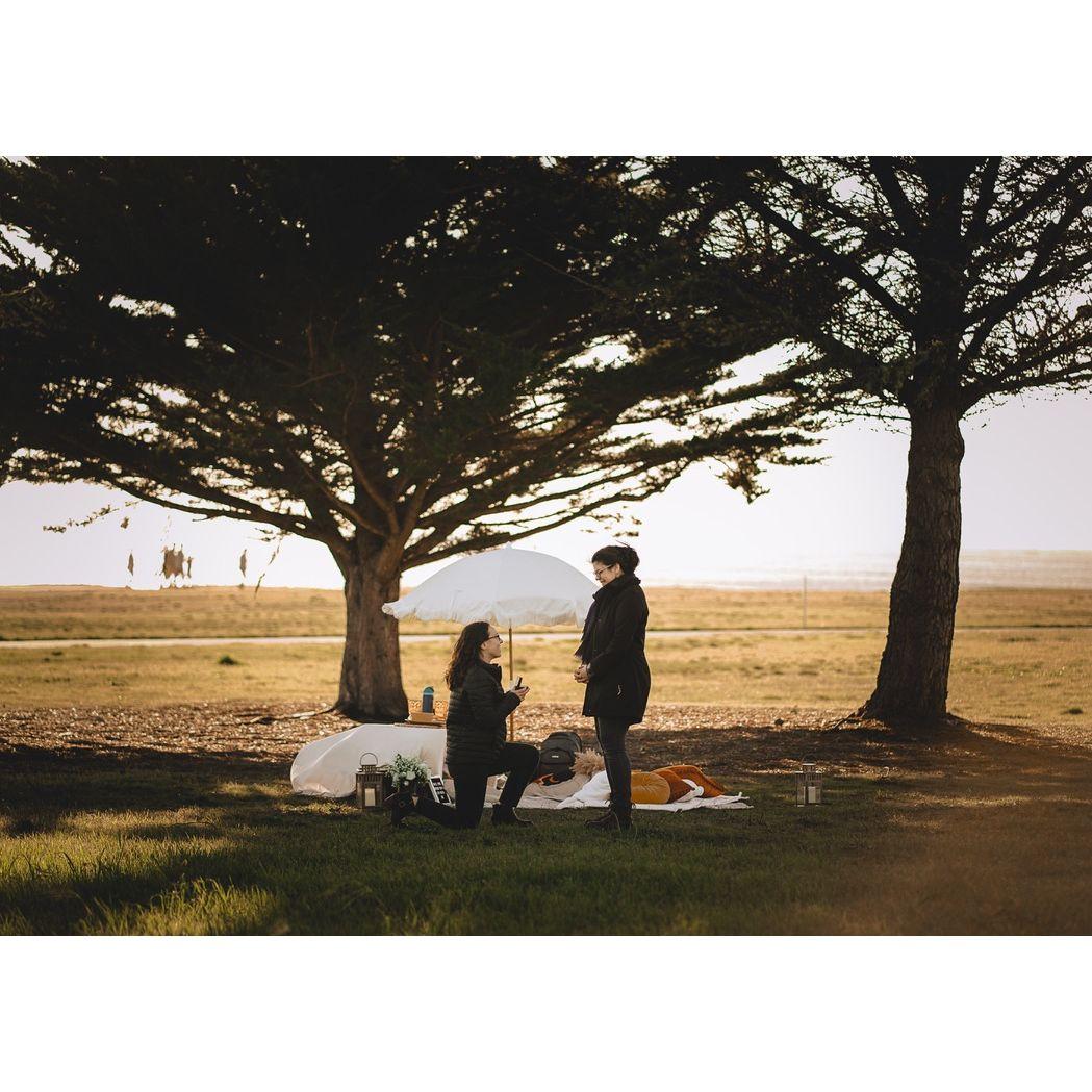 When Zoe proposed