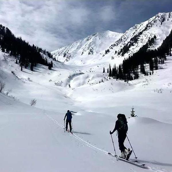 Finding some fresh lines