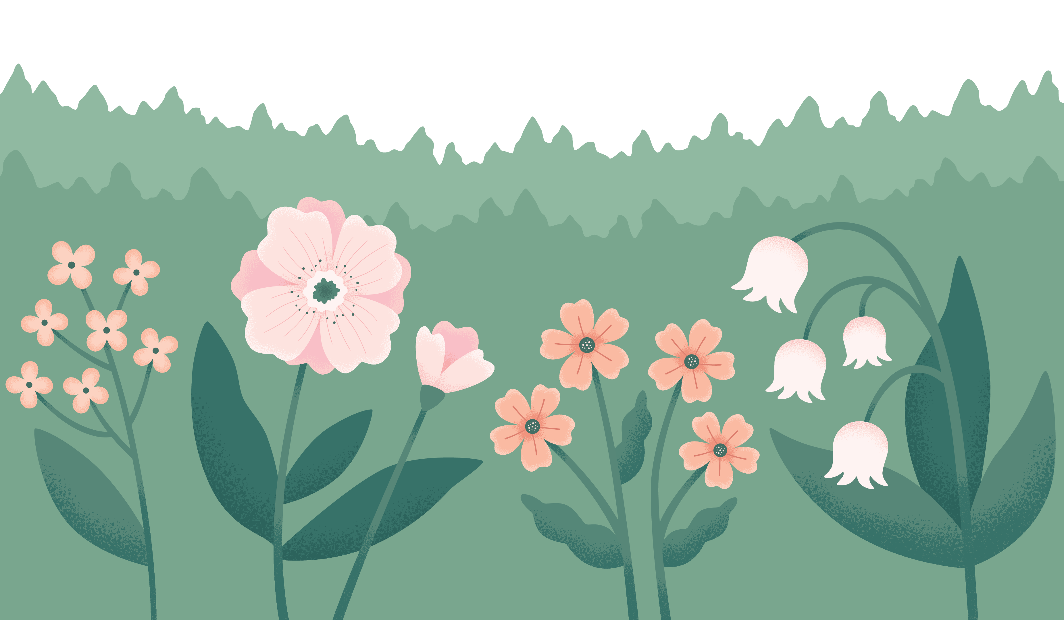 Footer image