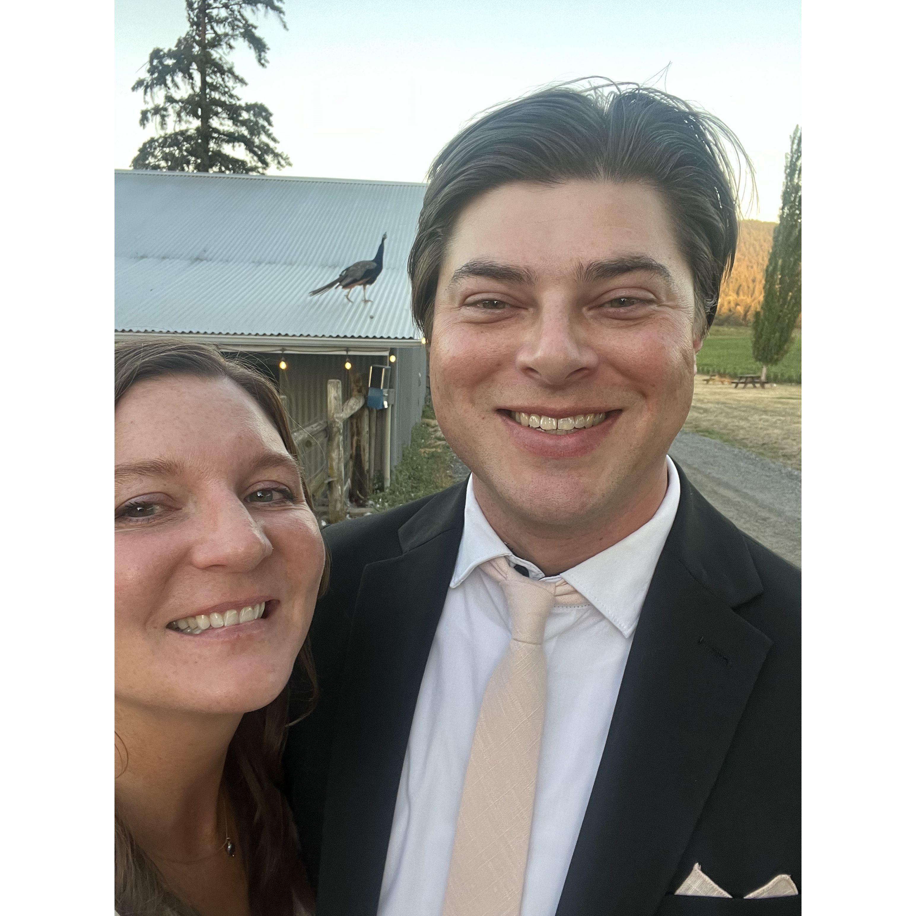 Kel & Josh's wedding. Carlton, OR. August 29, 2024.