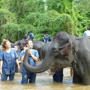 Elephant Sanctuaries experience $3800 MXN