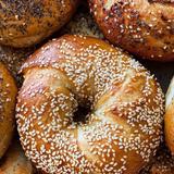 Hand Rolled Bagels