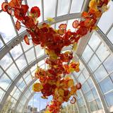 Chihuly Garden and Glass